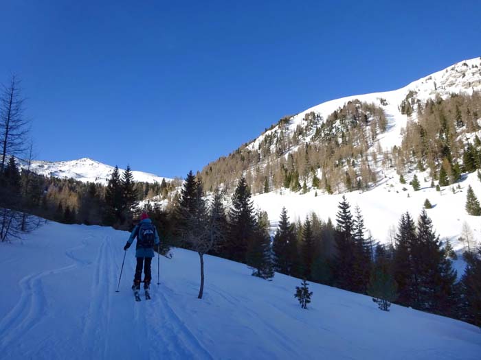 auf dem Weg zur Bärengrubenalm; gerade voraus unser erster Gipfel, der Bärenaunock