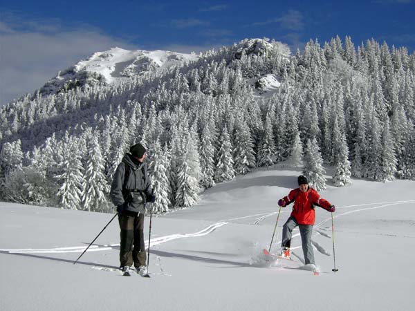 Kleinzeller Hinteralpe gegen Hochstaff