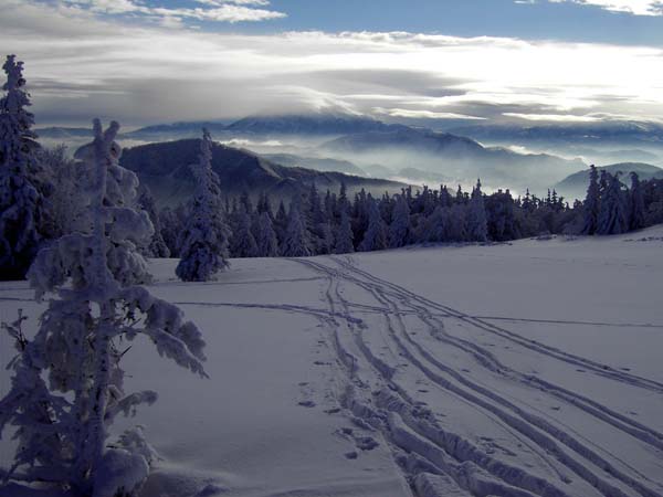 Reisalpenplateau gegen SO (Schneeberg)