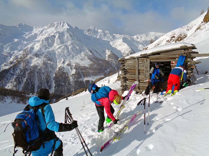 bei der gemütlichen Heuschupfn hoch über der Kamelisenalm kommen die Felle runter