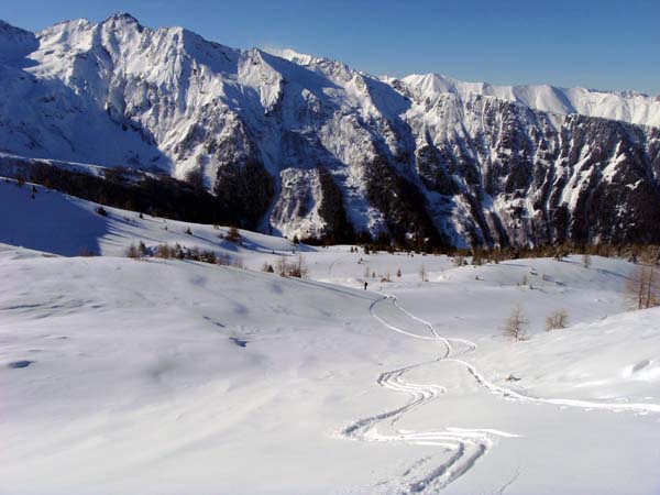 auf den flachen Hänge über der Lercheggalm