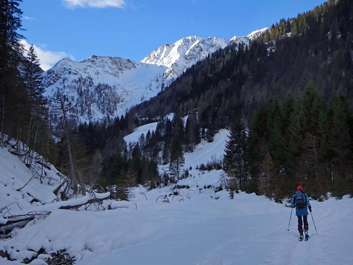 am Zustieg durchs Niedergailer Tal, hinten der mächtige Kesselkofel