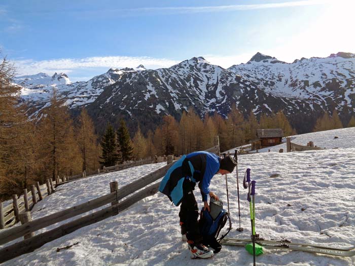 über einen lichten Waldrücken steigen wir zum Schildstall auf; Blick gegen NO auf die Berge zwischen den Wilden Mandern (rechts) und dem bekannten Hochgasser ganz links