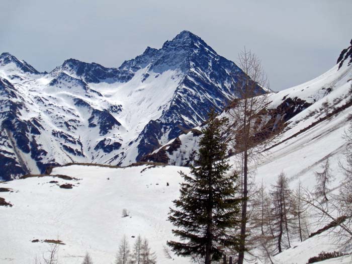 ... rutschen wir wieder zum Schildstall hinüber und genießen den Prachtblick auf den Nussingkogel