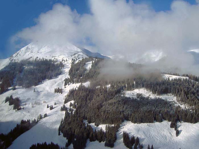 der Schwarzkogel von SO (Talsenhöhe, s. Archiv); wir kommen heute von der Rückseite aus dem Spertental