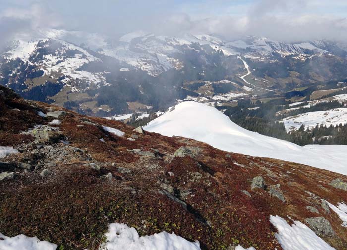 darüber erreichen wir die teils schon apere Schneide des Nordkamms; Rückblick ins Spertental