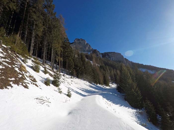 auf der obersten Forststraße dem Senkkogel entgegen; die Rinne versteckt sich zwischen den beiden Felsmassiven