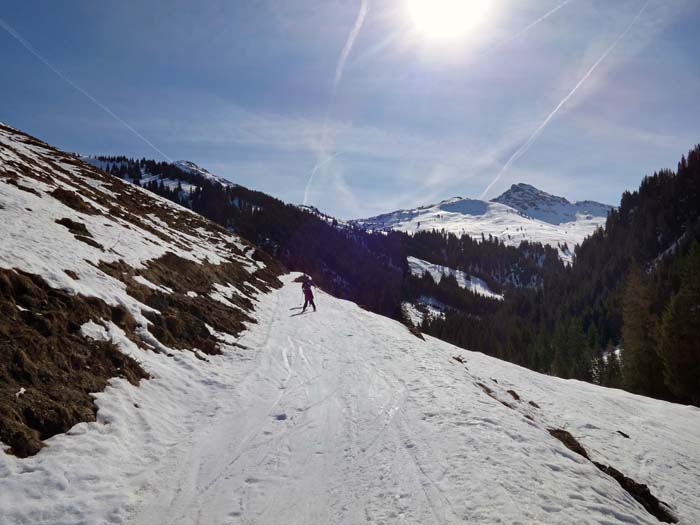 wir verlassen den Graben und steigen zur Wildalm hinauf; im SO der Staffkogel