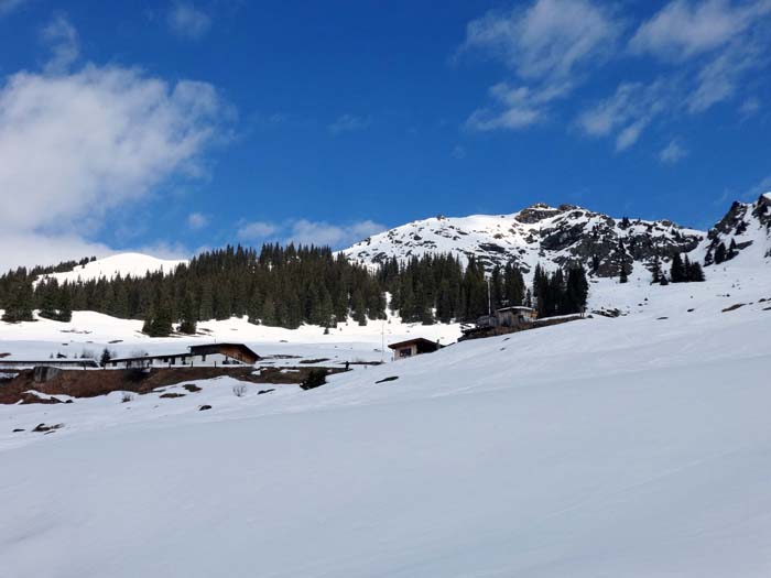 auf der Hochwildalm; im Norden darüber der Gebraranken, ebenfalls ein Standardschiberg der Östlichen Kitzbüheler