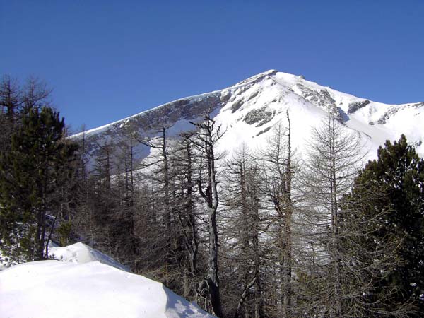 am Waldkamm wird langsam der Blick auf unser Ziel frei