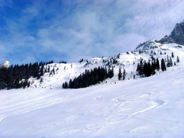 oberhalb des Austriaweges das einzige Steilstück der Tour, der Aufschwung zum Astaumahdriedl