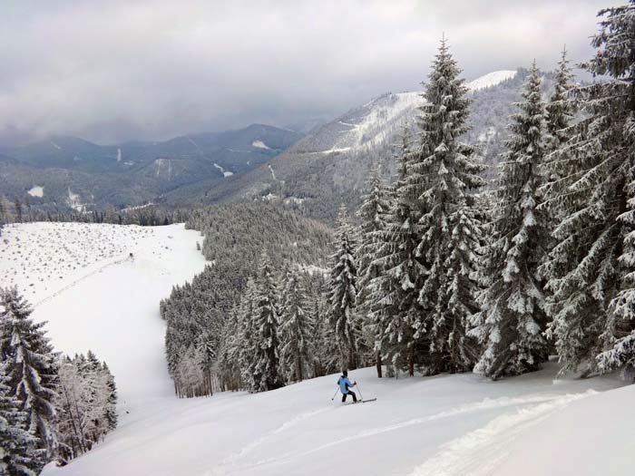 nach der Schneise ein kurzer, flacher Gegenanstieg auf die freie SO-Schulter des Galmeikogel, dann verbleiben in gleicher Richtung noch 300 Hm Waldabfahrt zum Parkplatz Sulzberg