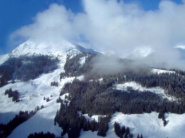 der Schwarzkogel (hier von der Bergstation des Talsenliftes) ist uns diesmal entgangen, ...