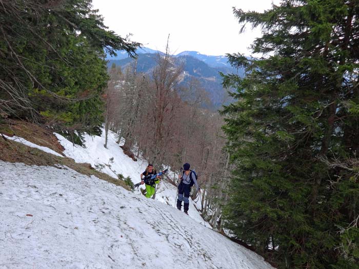 Schneemangel treibt uns stellenweise in die Kammflanke - für Splitboarder ein Grenzfall