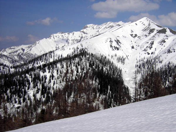 Sumperalm gegen NO (Hochmölbing)