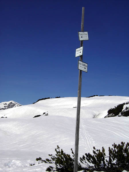 die wichtigste Kreuzung am Zentralplateau: hinterm Gastkarkogel treffen sich die Routen von Tauplitz, Prielschutzhaus und Pühringerhütte