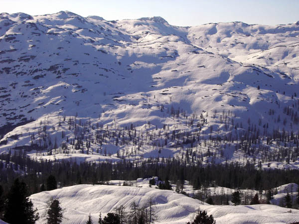 Tiefblick vom Fuß des Redenden Stein auf die Wildenseealm; das Appelhaus zwischen den Bäumen ist nicht nur auf dem Bild schwer zu finden