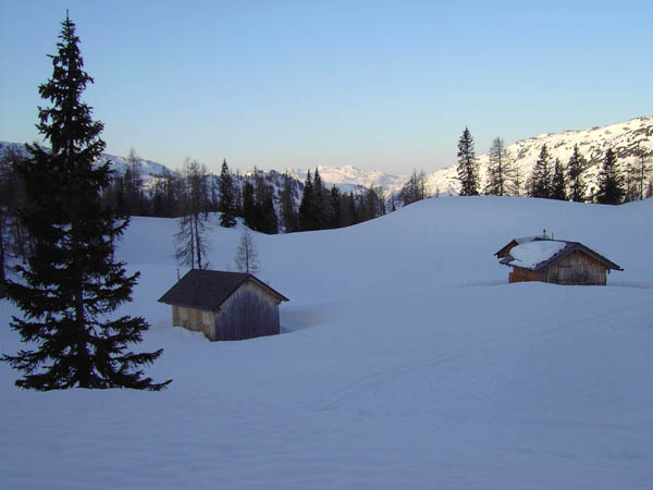 Wildenseealm gegen SW (Dachstein)