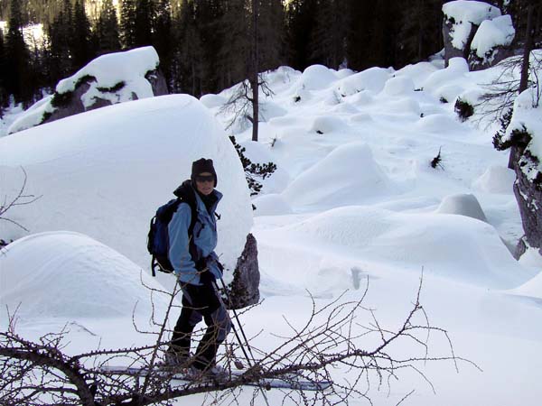 Ulli im Geisterwaldlabyrinth