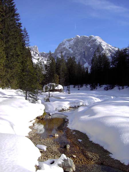 ... und versäumen den idyllischen Rückblick vom Flecklmoos