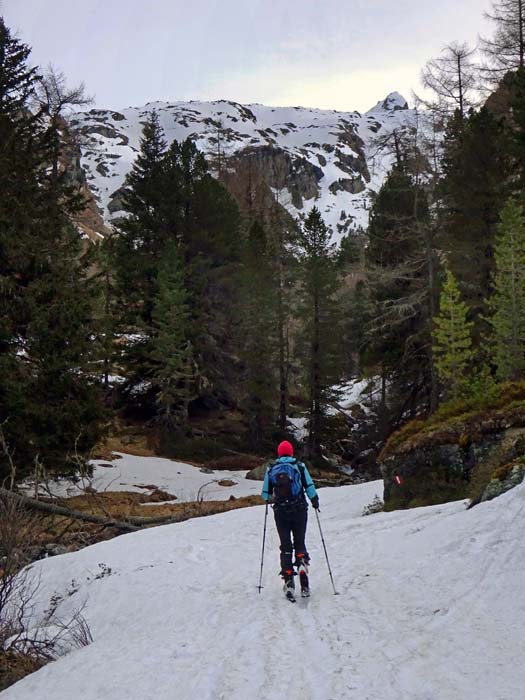 in der Gr. Zirknitz auf 1800 m hat die Sonne schon tüchtig aufgeräumt; oberhalb der felsigen Aufschwünge verbirgt sich fantastisches, weitläufiges Schigelände, auch der Tramerkopf lugt hervor