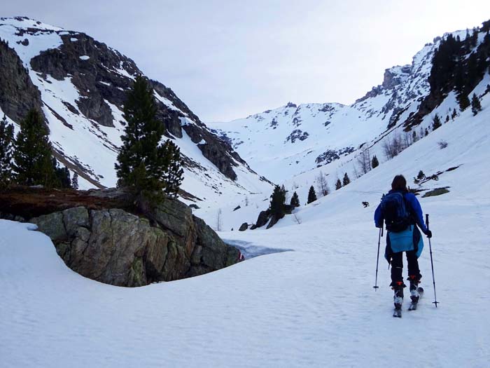 Schneemangel in der Steilstufe hinauf zu den Paziselpalfen lässt uns vorerst im Talgrund weiterlaufen, wo uns ebenfalls eine traumhafte Abfahrt erwartet