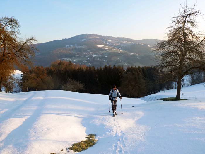 über der Marktgemeinde Traisen starten wir zur zweiten Etappe unserer Alpenüberquerung von Rekawinkel (20 km westl. von Wien) nach Lienz in Osttirol. Rückblick vom Grillenberg (Türnitzer Alpen) gegen NO zur Steinwandleiten (Wienerwald)