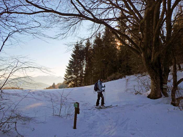 es folgt eine Reihe von Waldgipfeln mit Zwischenabfahrten jeweils um die hundert Höhenmeter: hinterm Tarschberg der Taurer Sattel ...