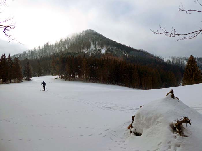 auf der Ebenwiesen am Nordfuß des Hohenstein