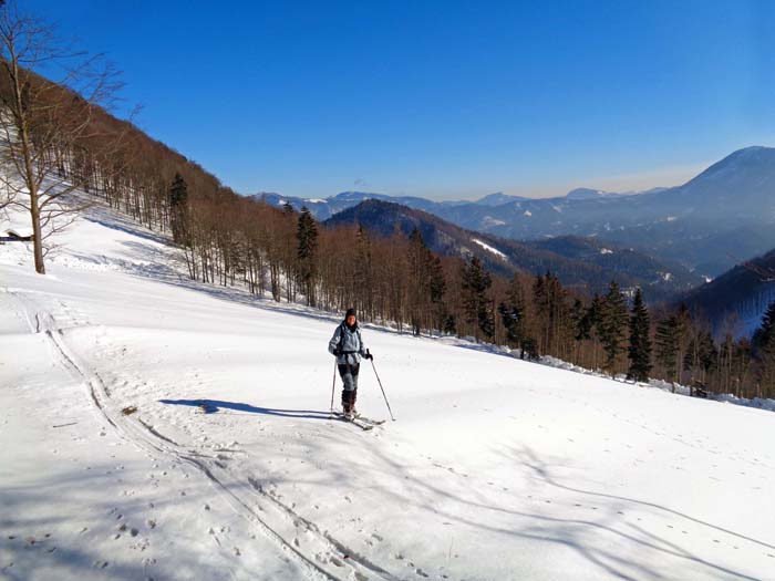 das Gscheid, 868 m, ist die tiefste Einsattlung zwischen Hohenstein und Eisenstein; Blick nach SO auf Türnitzer Höger (ganz rechts) und Reisalpe (ganz hinten)