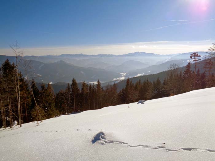 am Übergang zum Eisenstein, im Süden Türnitzer Becken und Göller