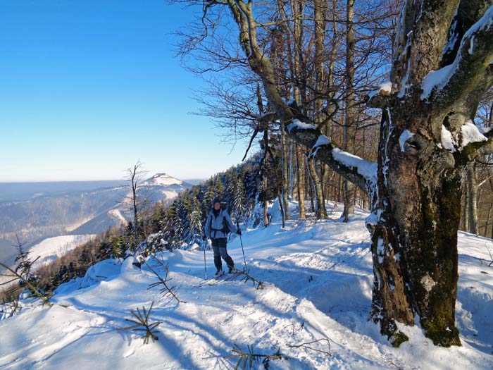 Rückblick vom Eisenstein-Gipfelkamm zum Hohenstein