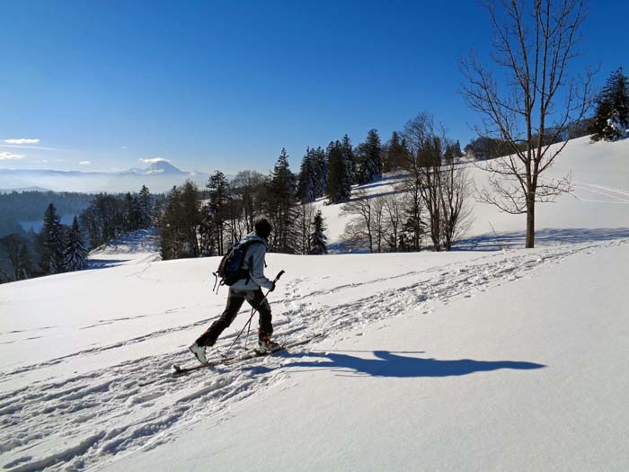 der Kamm wird zum Wiesenplateau, ...