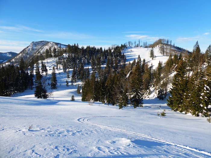 ein besonders stimmungsvoller Platz: die Schildböckalm mit dem Gr. Kegel links hinten