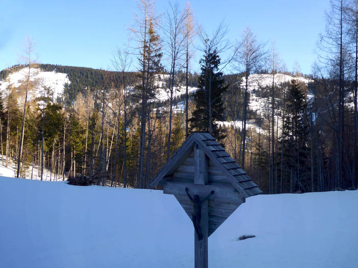 ... steht dieses Wegkreuz; Rückblick auf die Bichleralpe mit Gipfelkamm und Abfahrt; die folgende Querung des Schindelkogel ist etwas unübersichtlich und verwachsen