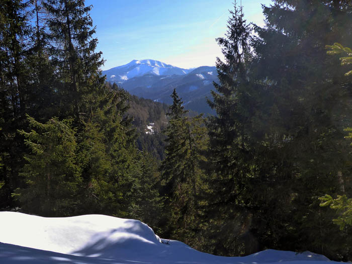 ... das einmal kurz den Blick nach Osten auf den Göller freigibt ...