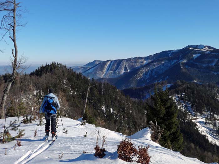 der Unterberg (rechts oben) entsendet gegen Westen in Richtung Jochart einen langen Waldkamm; Ulli steuert vom Buchenschopf hinüber zum Kleinzeller Fels