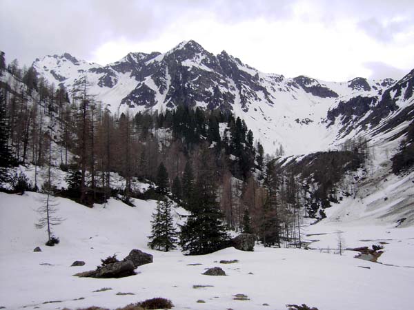 aber sicher doch! Herzmaieralm gegen SW (Vordere Waschlkarspitze); unsere Route zieht hinten links ins Waschlkar hinauf