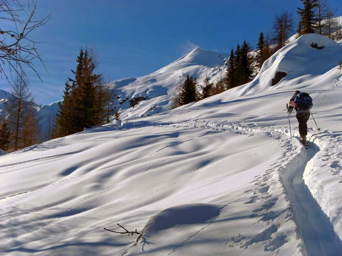 ... hinaus auf die sonnigen Pulverhänge unterhalb des Widerschwing