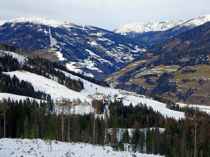  Blick auf Hollbruck und das Pustertal vom nordseitigen Aufstieg über die Fortstraße bzw. die frischen Schläge des Walcherwalds