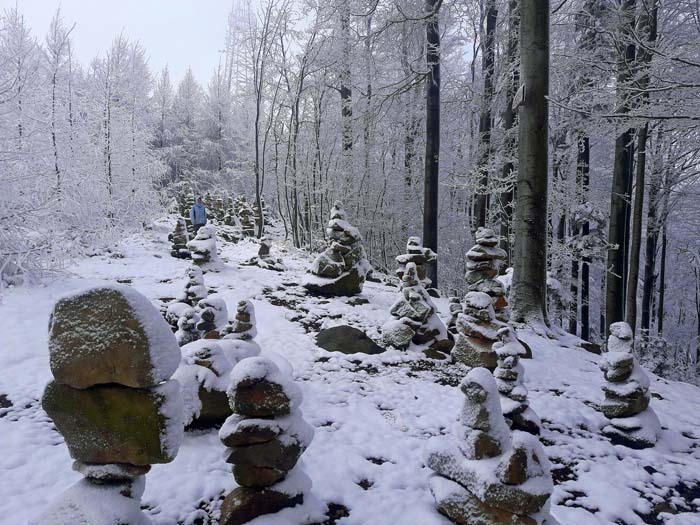 der erste Gipfel unserer langen Spur nach Lienz/Osttirol: der Jochgrabenberg vor den Toren Wiens, unser einstiger Hausberg, mit seinen weit über 50 Steinmännern