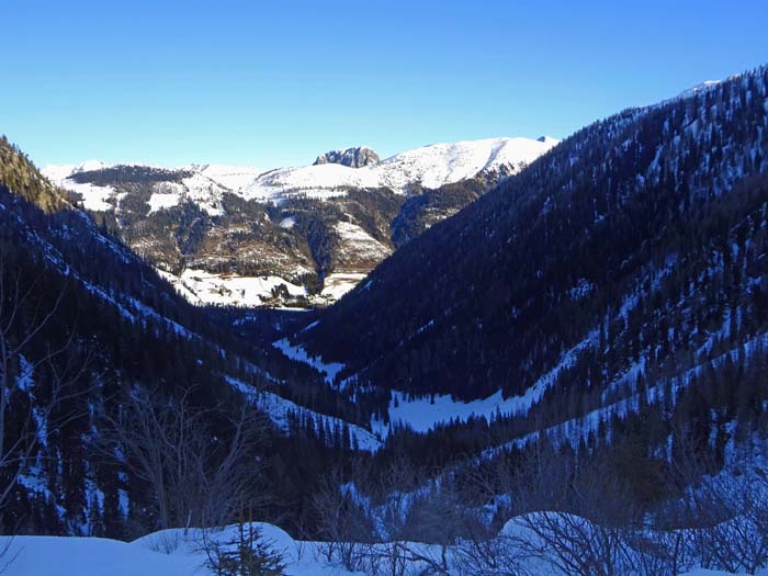 ... blicken wir durchs Leitner Tal zurück übers Osttiroler Gailtal hinweg auf die Felskrone des Spitzenstein (Lienzer Dolomiten; Winterbesteigung s. Archiv Bergsteigen)