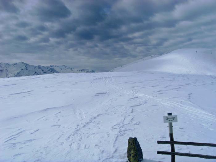 auf der sanften Gipfelkuppe der Filzenhöhe beginnt ein Panorama-Laufsteg der Sonderklasse