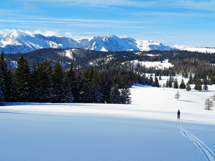 typisches Szenario auf der Überschreitung: Abfahrt vom Betbühel zur Halterhütte auf der Vorderen Staritzen, dahinter die Hochschwab-Nordabstürze