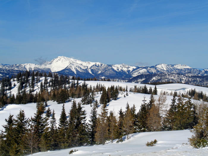 im NW das Dürrensteinmassiv